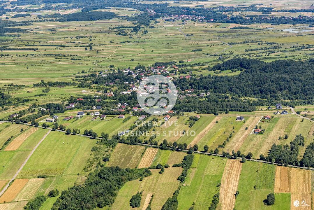 Debowiec_2020__DSC_1172