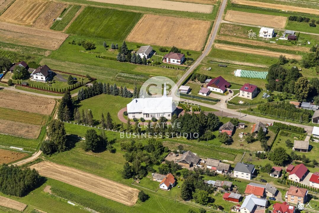 Debowiec_2020__DSC_1287