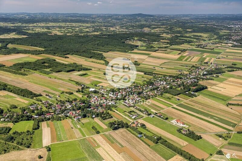 Debowiec_2020__DSC_1284