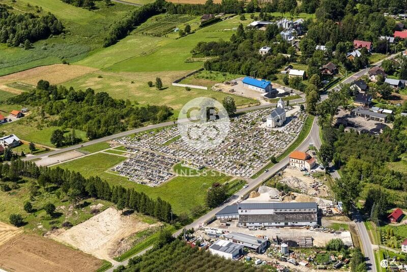 Debowiec_2020__DSC_1243