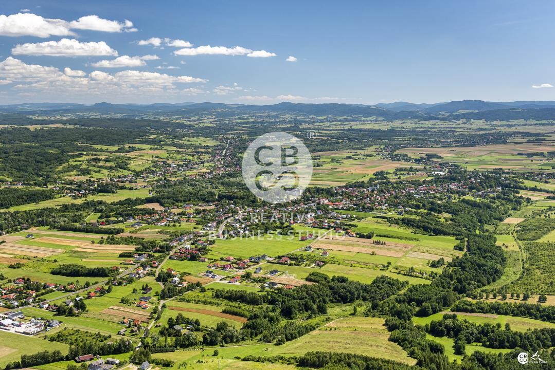 Debowiec_2020__DSC_1217