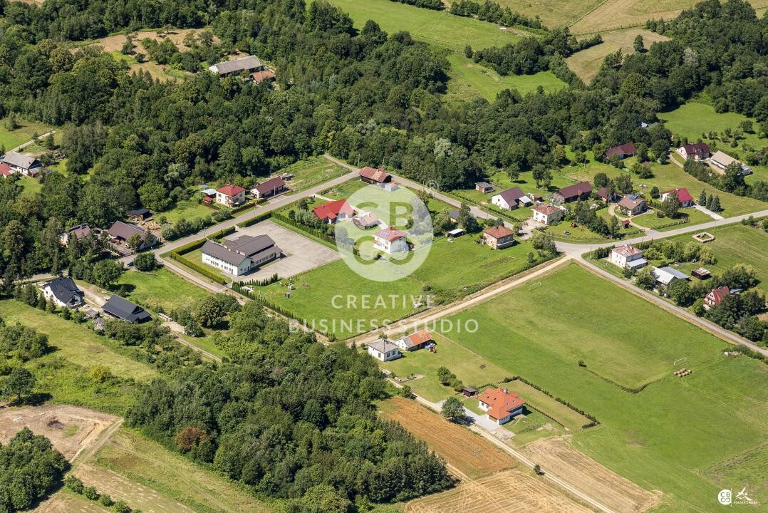 Debowiec_2020__DSC_1170