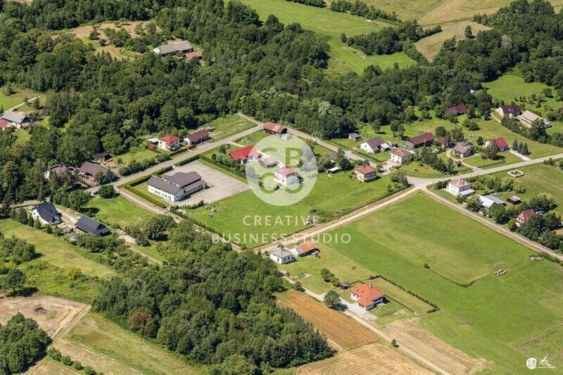 Debowiec_2020__DSC_1170