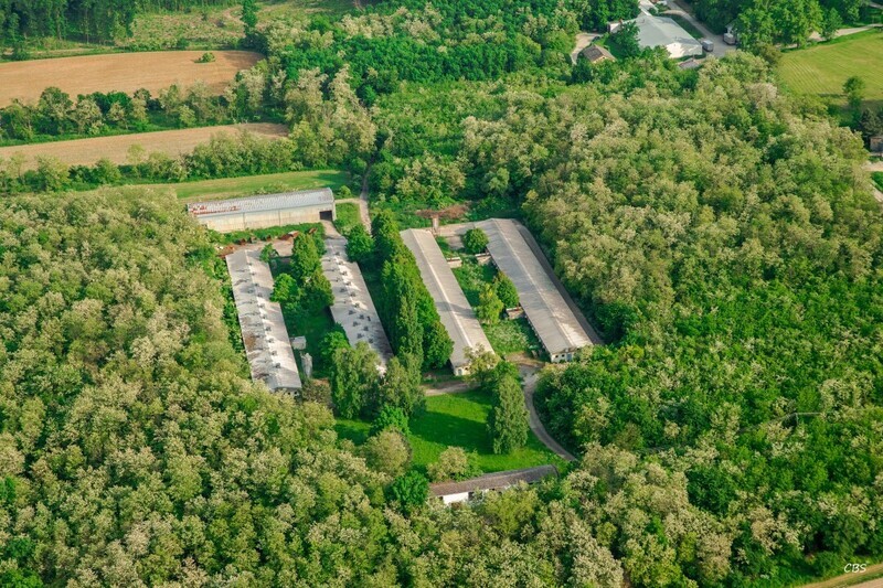 Dolne-Obdokovce-2016-5