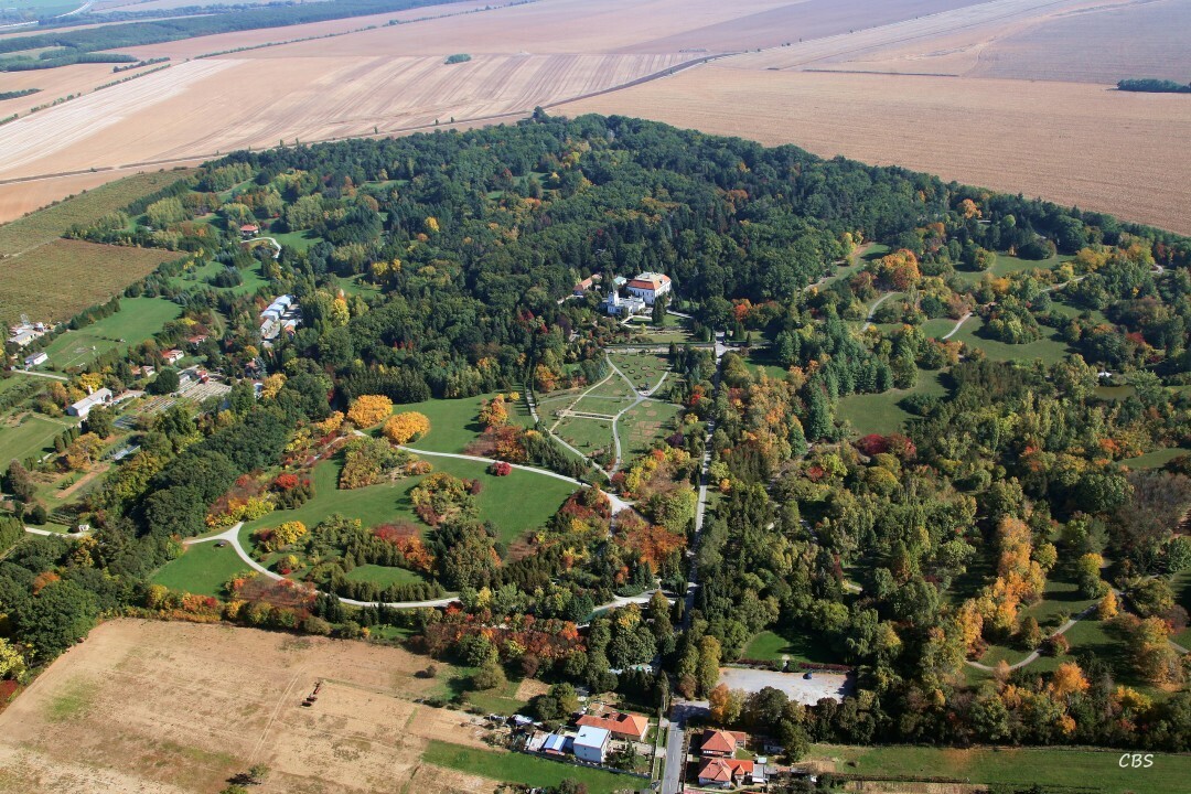 Tesarske-Mlynany-2013-8