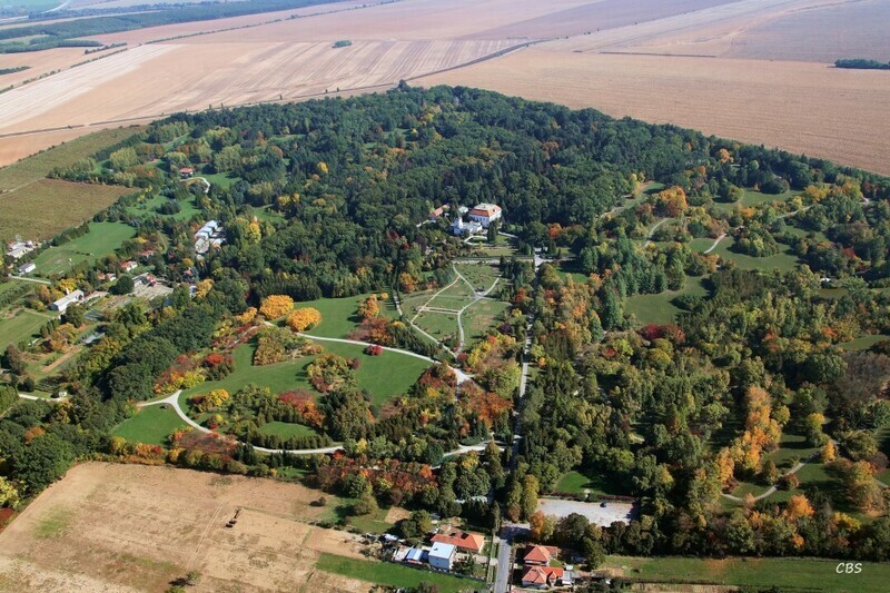 Tesarske-Mlynany-2013-8