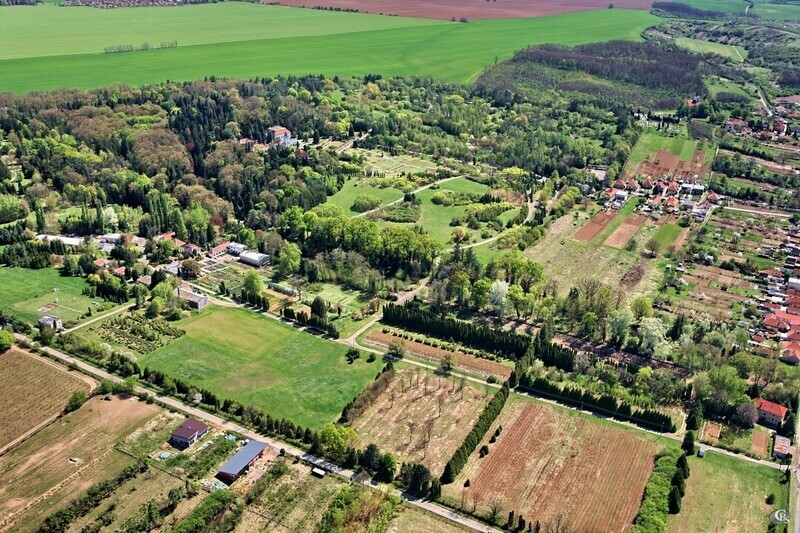 Vieska-nad-Zitavou-2012-5