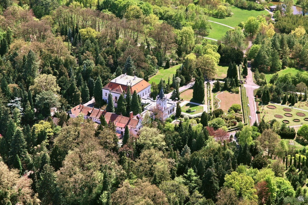 Vieska-nad-Zitavou-2012-6