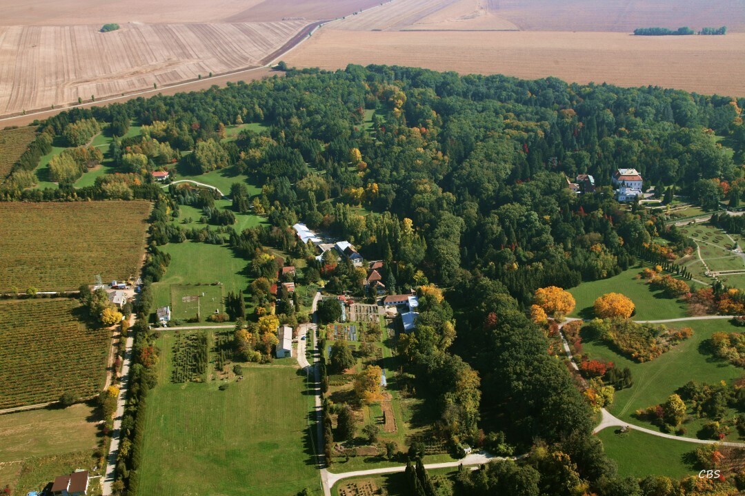 Tesarske-Mlynany-2013-9