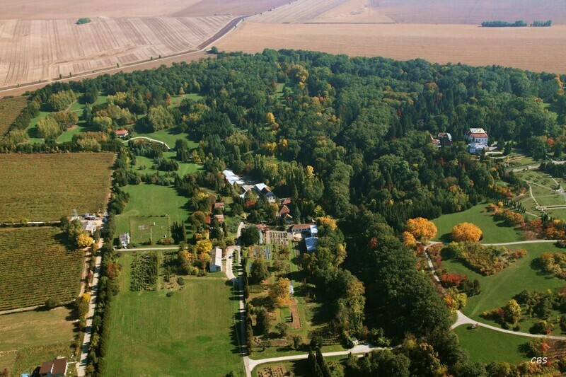 Tesarske-Mlynany-2013-9