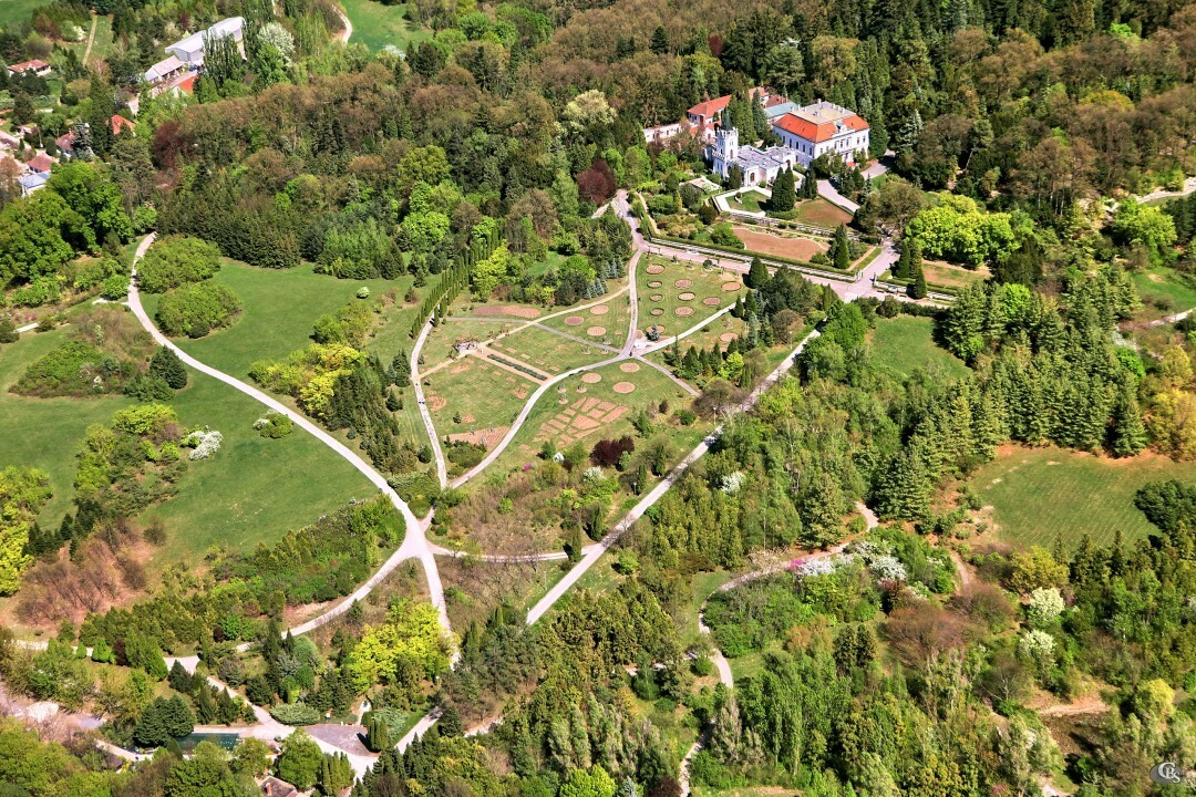 Vieska-nad-Zitavou-2012-9