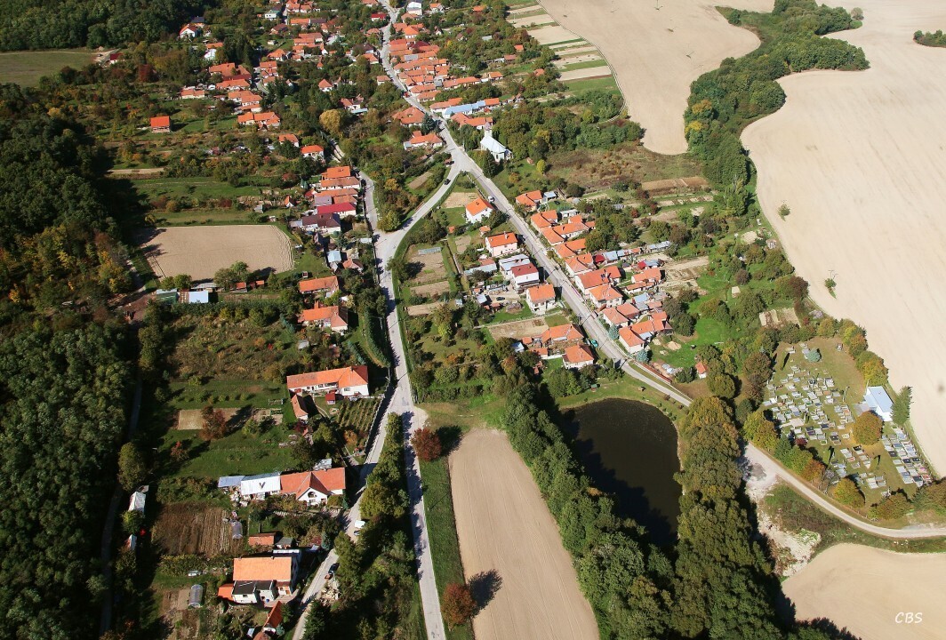 Zlatno-2013-12