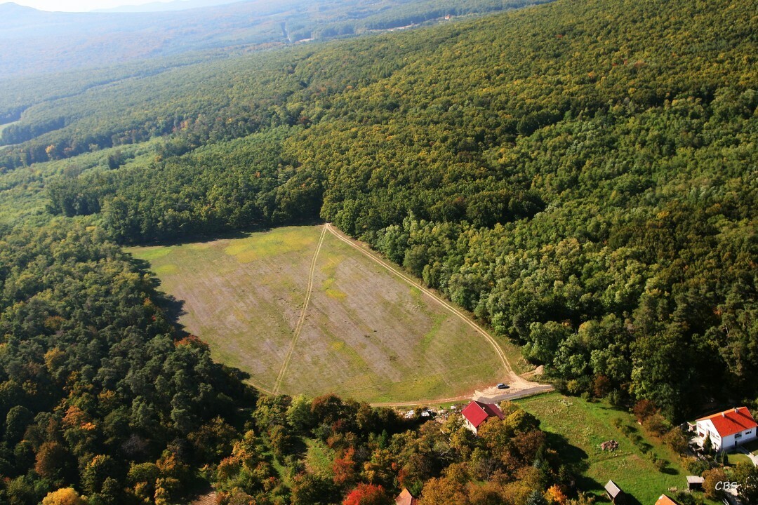 Zlatno-2013-21