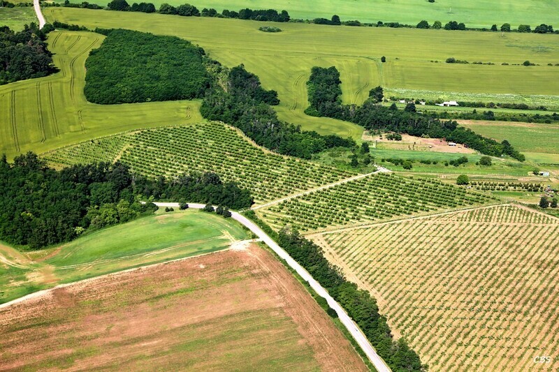 Male-Vozokany-2013-1