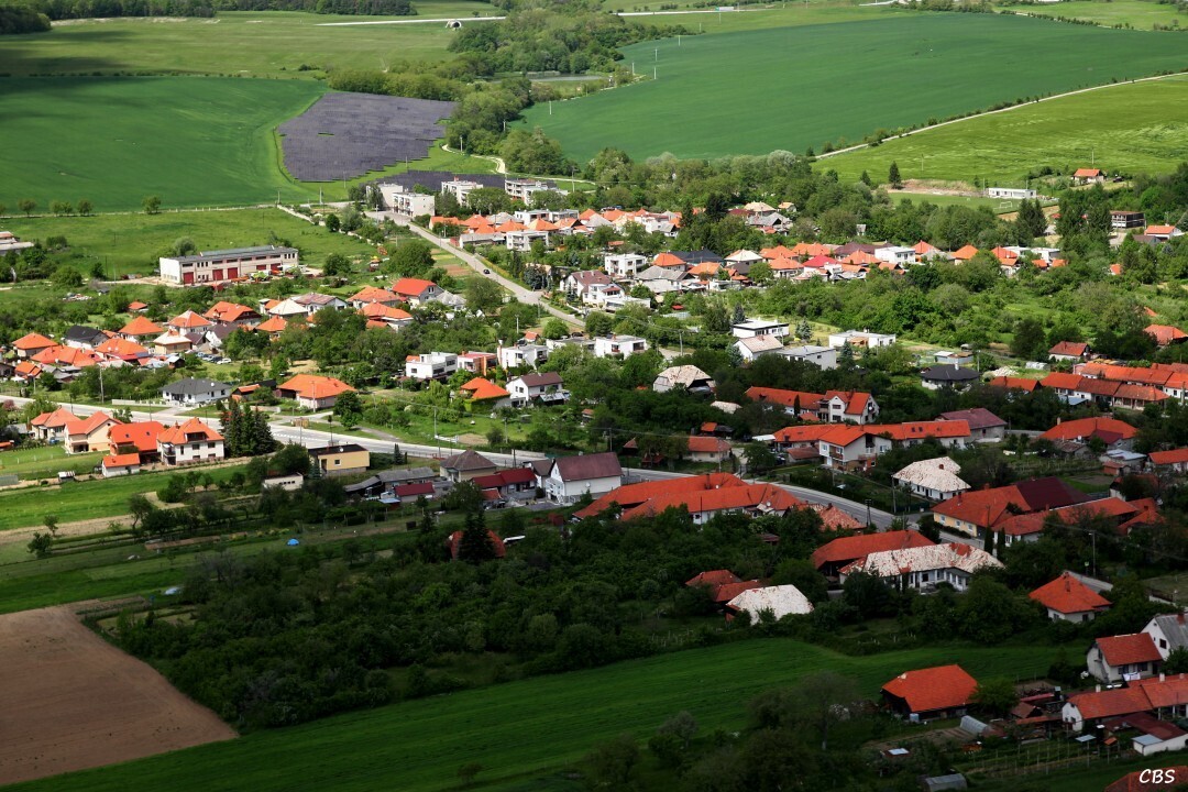 Tekovske-Nemce-2014-3