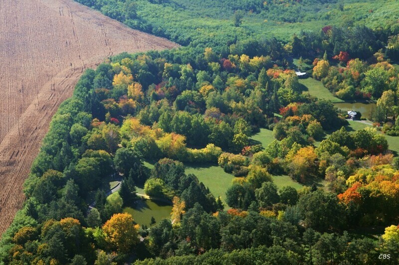 Tesarske-Mlynany-2013-10