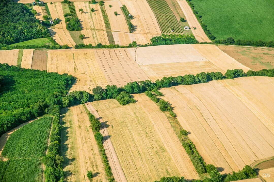 Velke-Ludince-2015-1