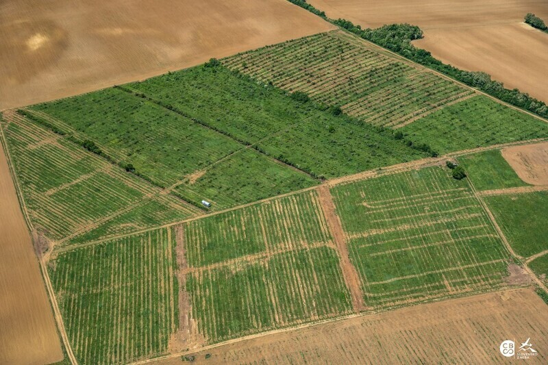 Dolne-Obdokovce-2018-5