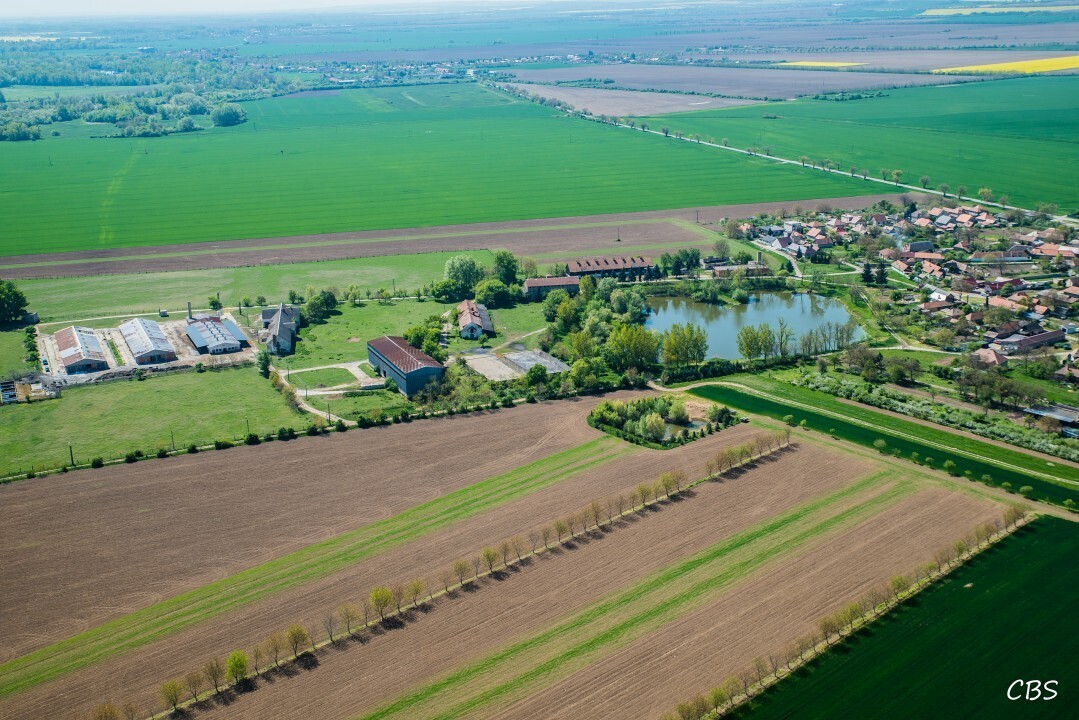 Male-Kozmalovce-2016-15