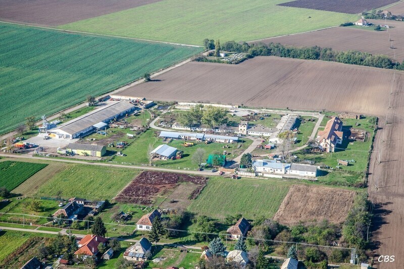 Plave-Vozokany-2014-13