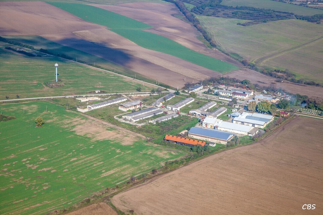 Plave-Vozokany-2014-9