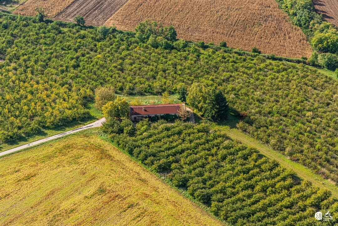 Svatoplukovo-2019-22