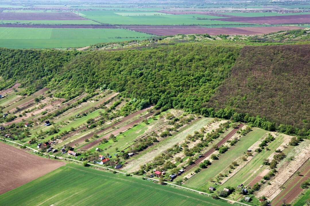 Kamenny-Most-2012-17