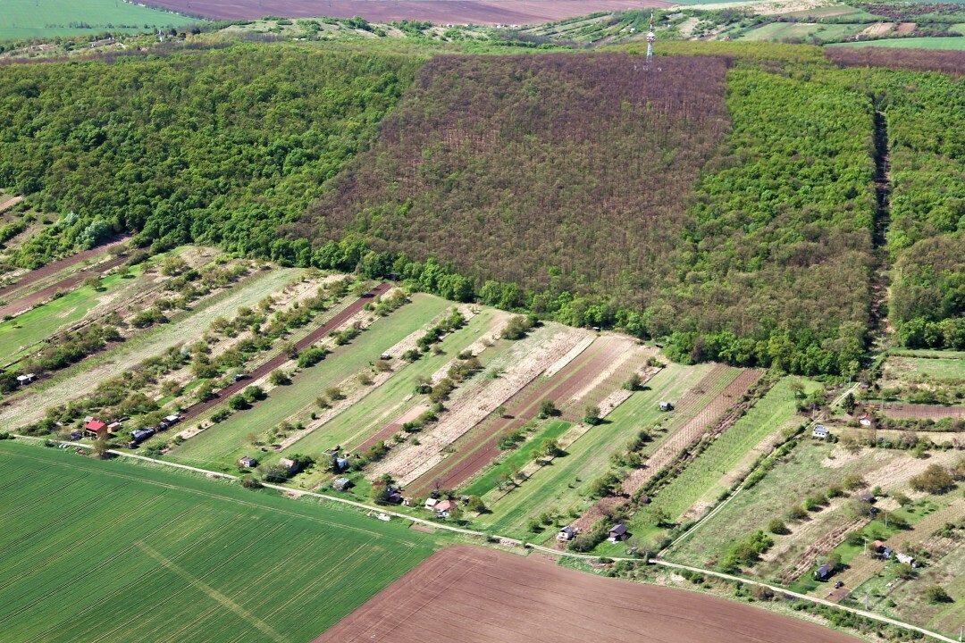 Kamenny-Most-2012-16