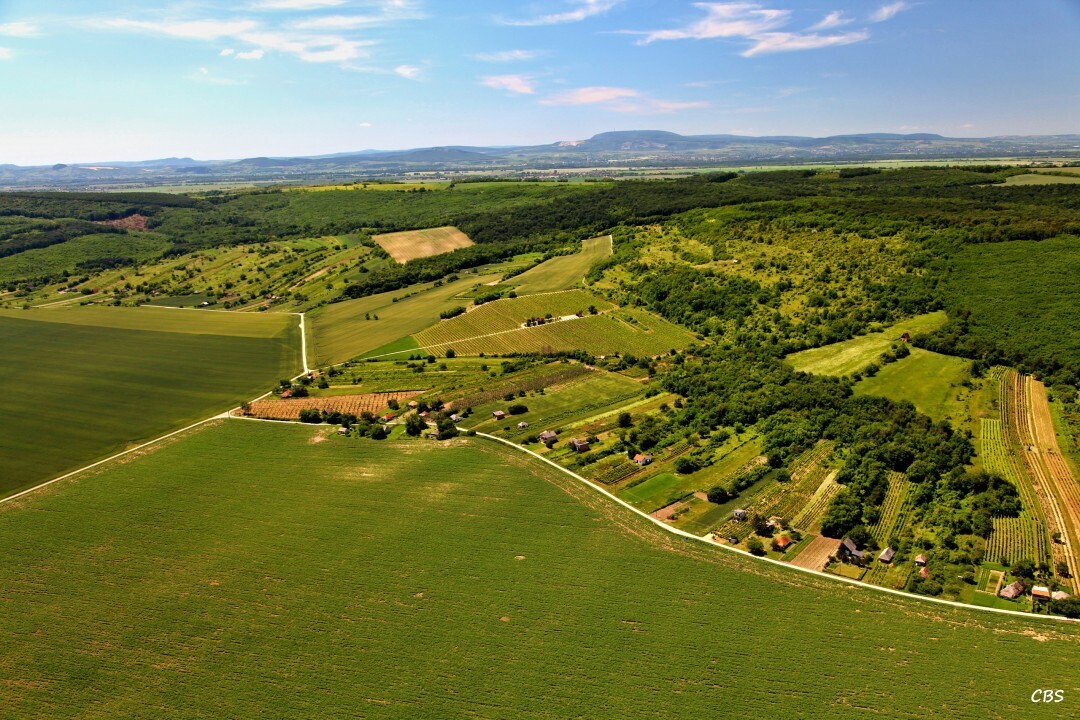 Kamenny-Most-2013-24