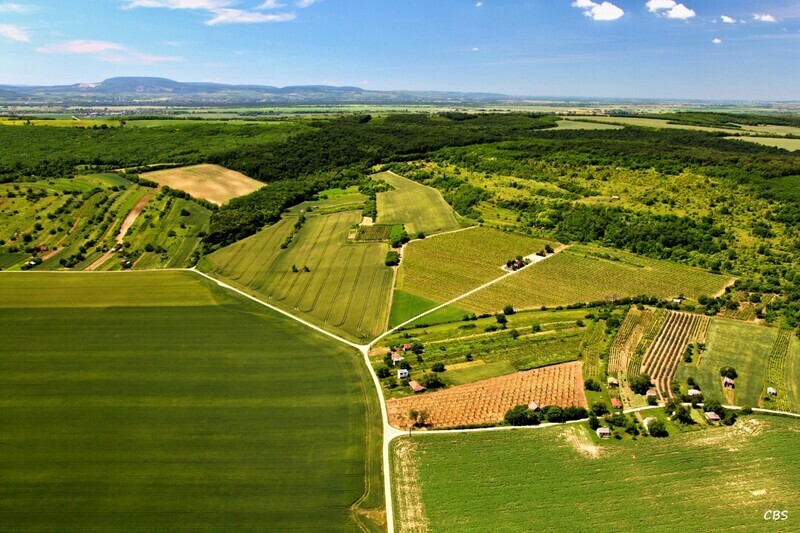 Kamenny-Most-2013-25