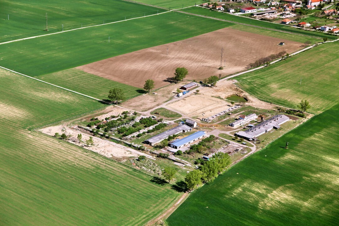 Kamenny-Most-2012-28