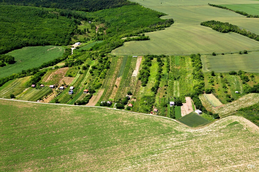 Kamenny-Most-2013-23