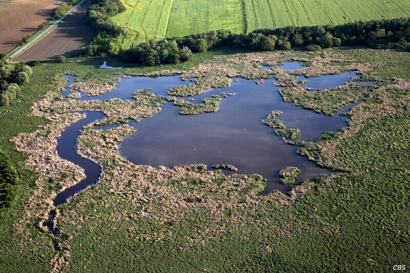Michal-nad-Zitavou-2014-9