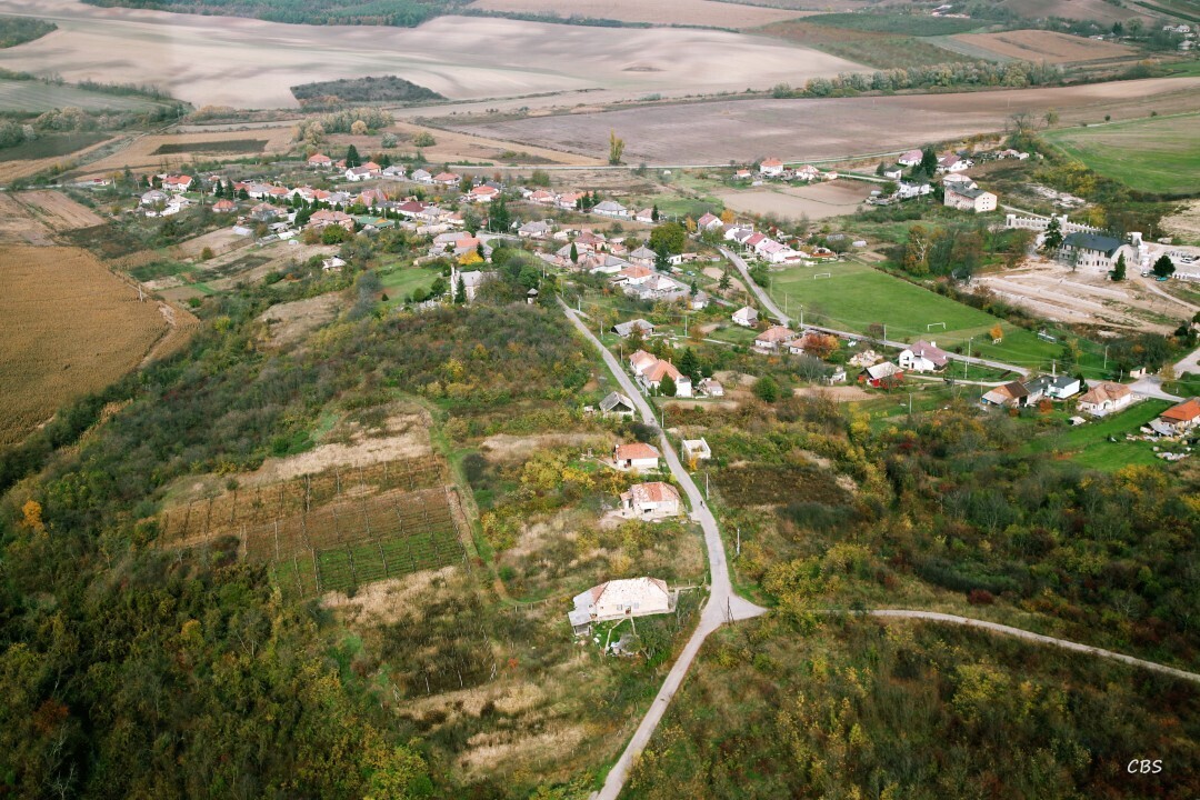 Sarkan-2013-10