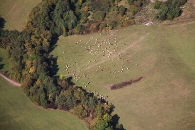 Janova Lehota - 2012