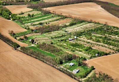 Nová Ves nad Žitavou - 2012