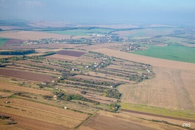 Plavé Vozokany - 2014