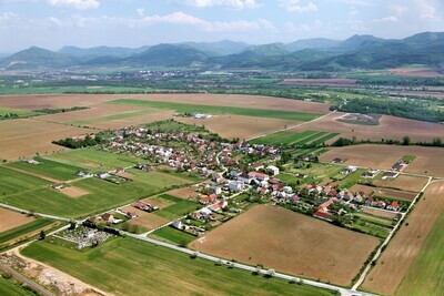 Slavnica - 2012