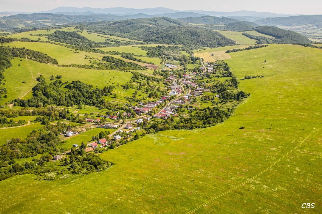 Zbudska-Bela-2014-2