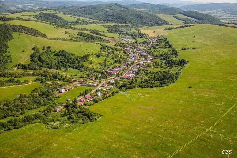 Zbudska-Bela-2014-3