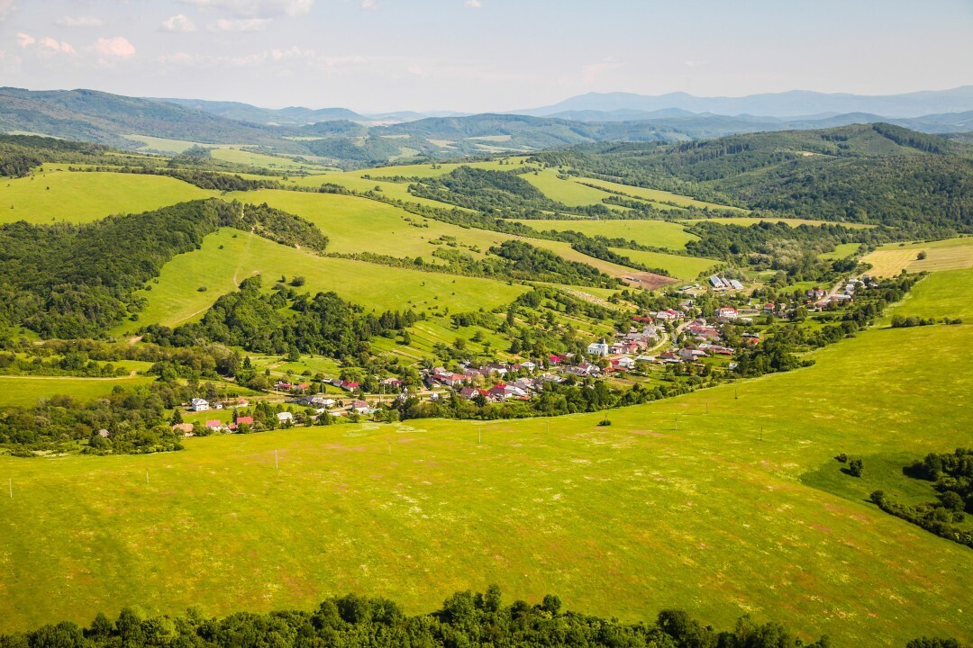 Zbudska-Bela-2014