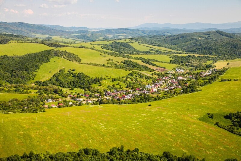 Zbudska-Bela-2014