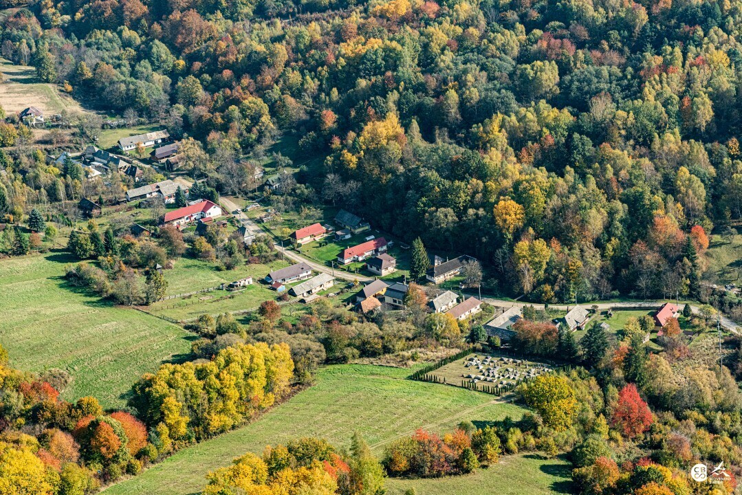 Zbudska-Bela-2019-13