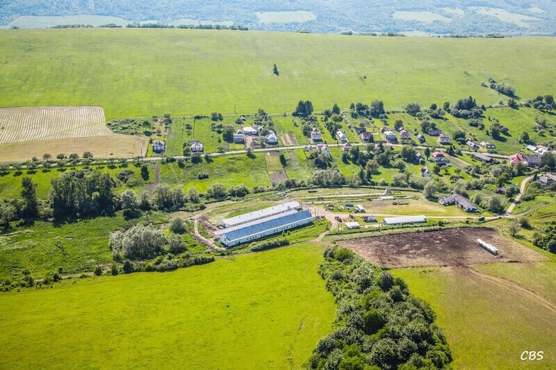 Zbudska-Bela-2014-20