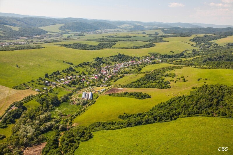Zbudska-Bela-2014-6