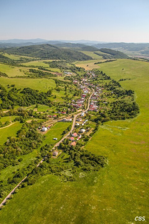 Zbudska-Bela-2014-4