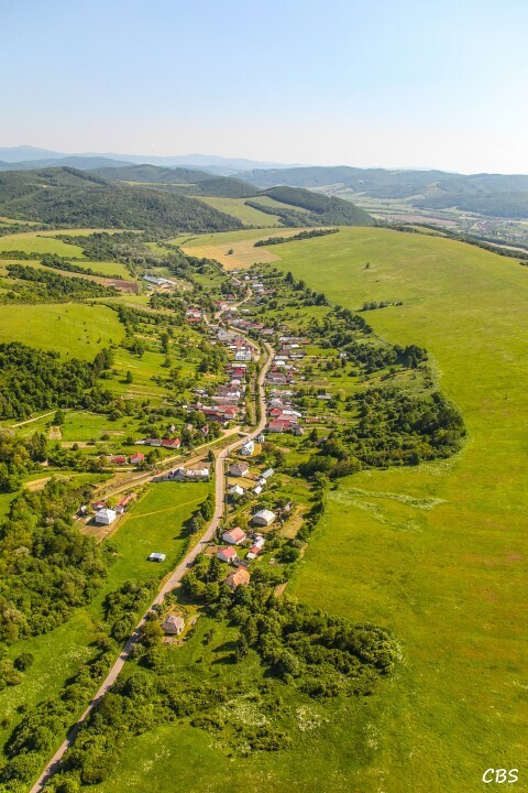 Zbudska-Bela-2014-5