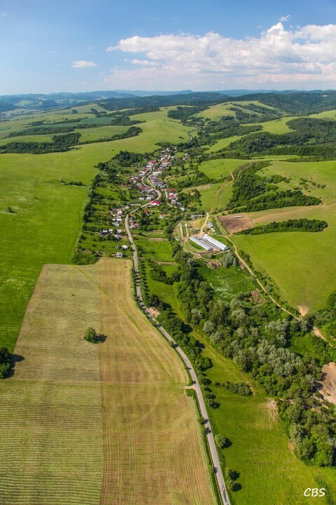 Zbudska-Bela-2014-7