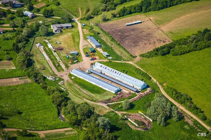 Zbudska-Bela-2014-9