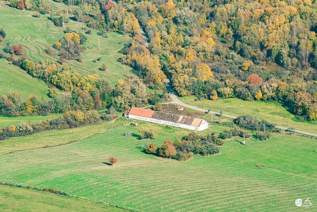 Zbudska-Bela-2019-8